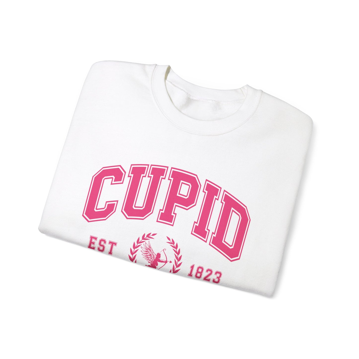 Cupid University Sweatshirt, Cute Valentine's Day Shirt, Funny College Sweatshirt, Love Crewneck Sweatshirt, Cupid Sweater
