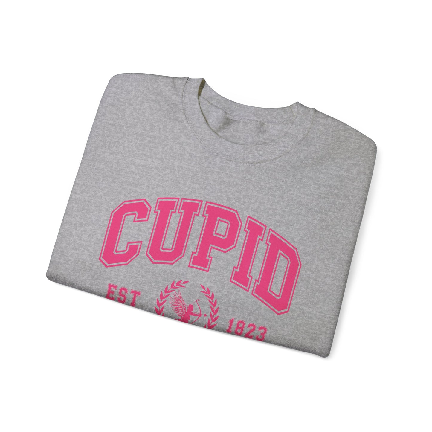 Cupid University Sweatshirt, Cute Valentine's Day Shirt, Funny College Sweatshirt, Love Crewneck Sweatshirt, Cupid Sweater