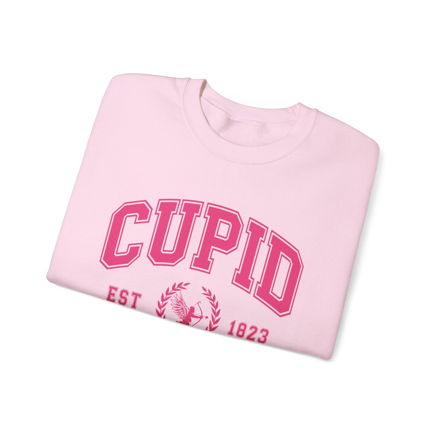 Cupid University Sweatshirt, Cute Valentine's Day Shirt, Funny College Sweatshirt, Love Crewneck Sweatshirt, Cupid Sweater