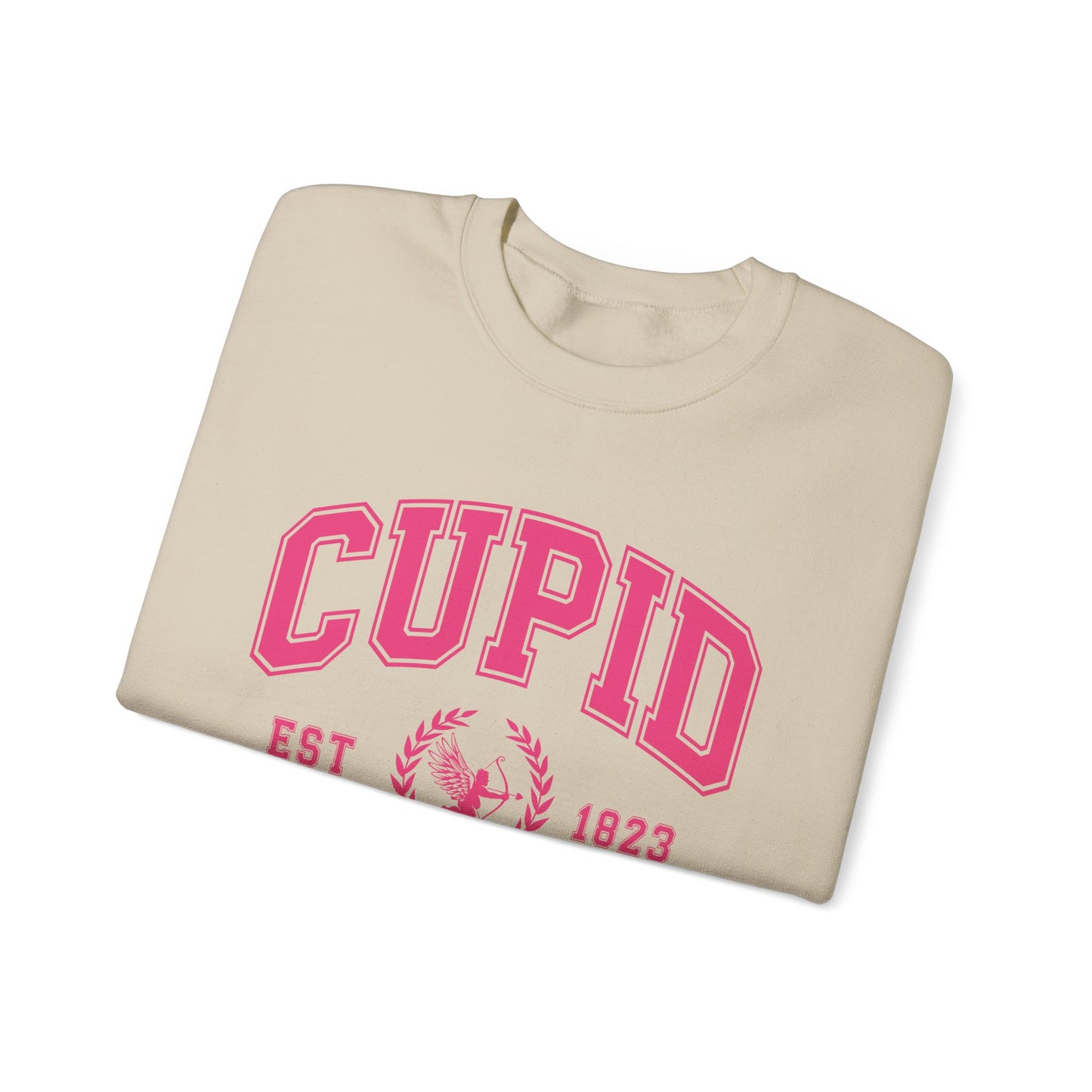 Cupid University Sweatshirt, Cute Valentine's Day Shirt, Funny College Sweatshirt, Love Crewneck Sweatshirt, Cupid Sweater
