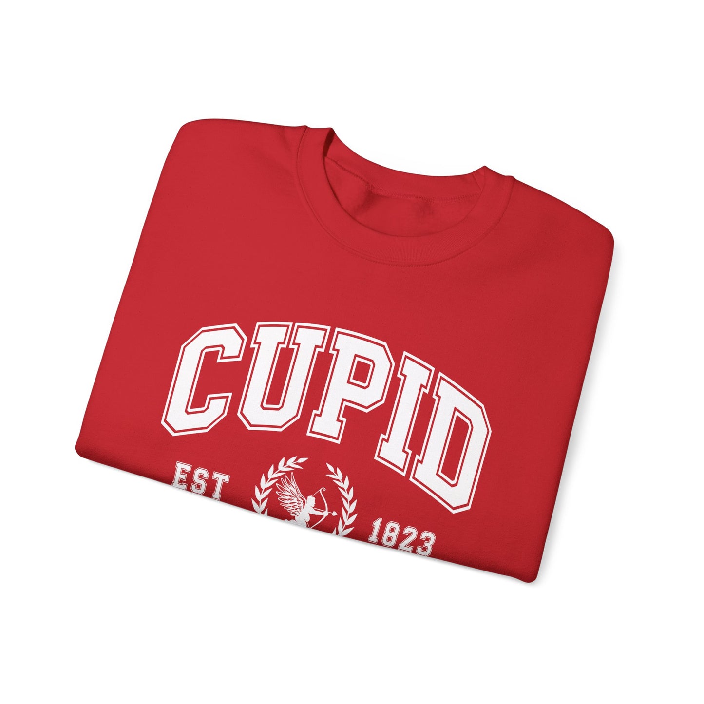 Cupid University Sweatshirt, Cute Valentine's Day Shirt, Funny College Sweatshirt, Love Crewneck Sweatshirt, Cupid Sweater