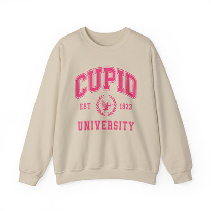 Cupid University Sweatshirt, Cute Valentine's Day Shirt, Funny College Sweatshirt, Love Crewneck Sweatshirt, Cupid Sweater