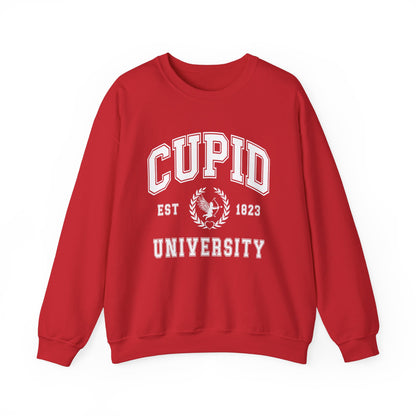 Cupid University Sweatshirt, Cute Valentine's Day Shirt, Funny College Sweatshirt, Love Crewneck Sweatshirt, Cupid Sweater