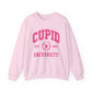 Cupid University Sweatshirt, Cute Valentine's Day Shirt, Funny College Sweatshirt, Love Crewneck Sweatshirt, Cupid Sweater